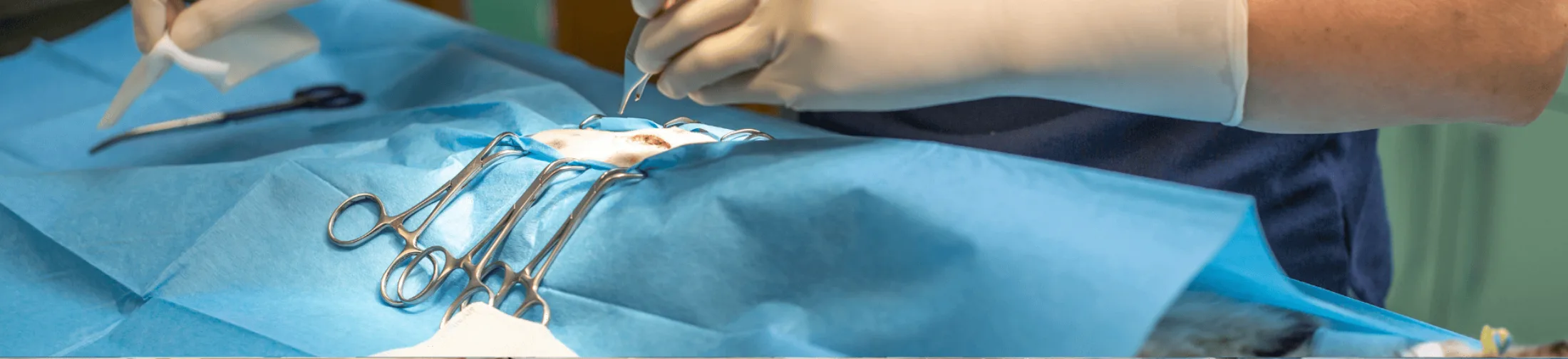 Banner cat medical 9