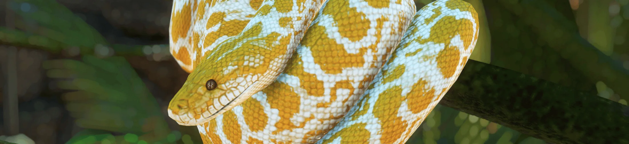 Snake