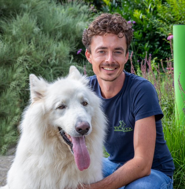 Schermafbeelding 2025 12 10 150000