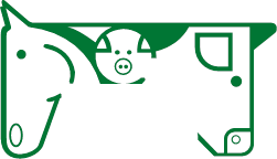 Nesto logo green transparent