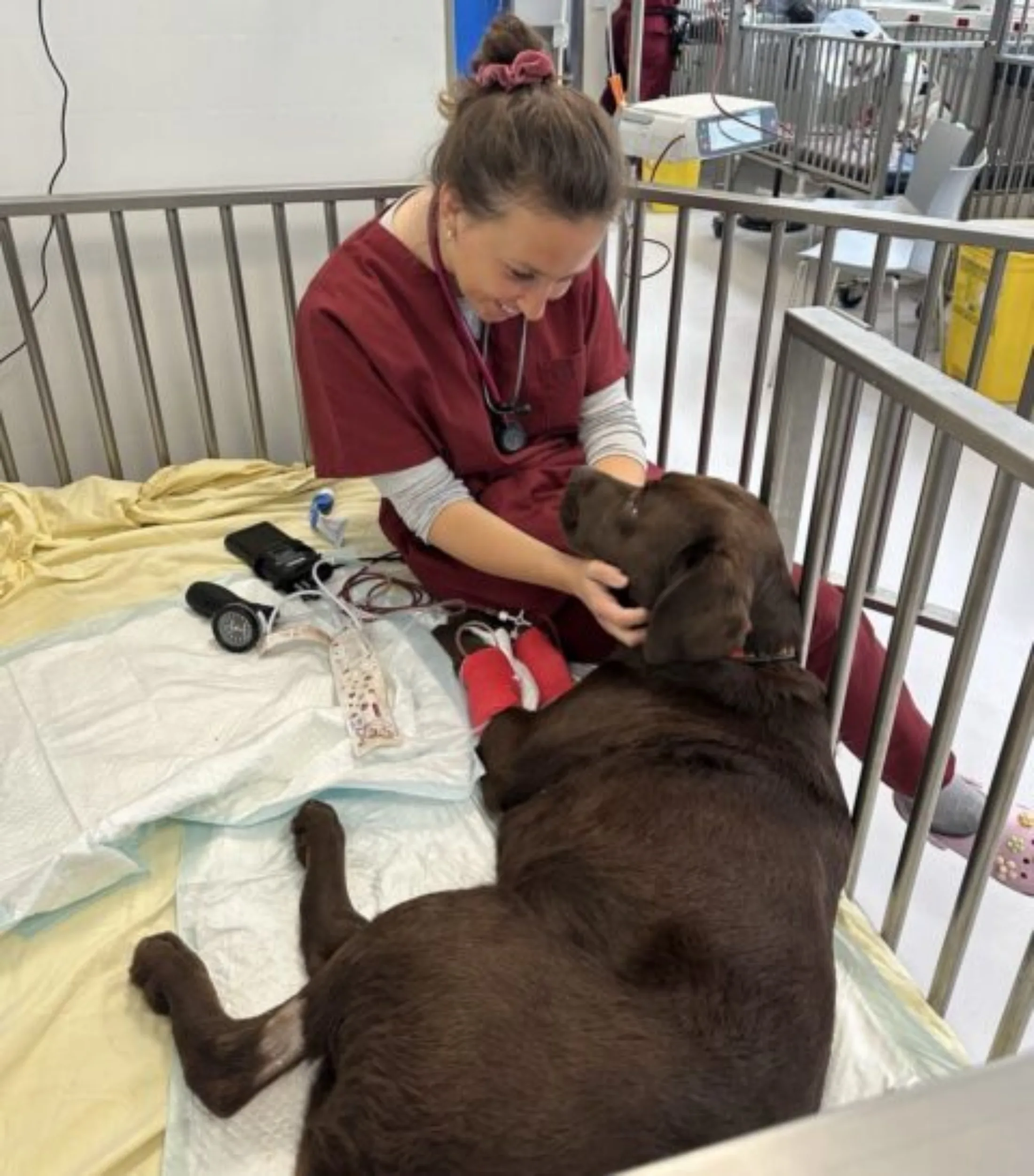 IMG 3653 groot 480x546