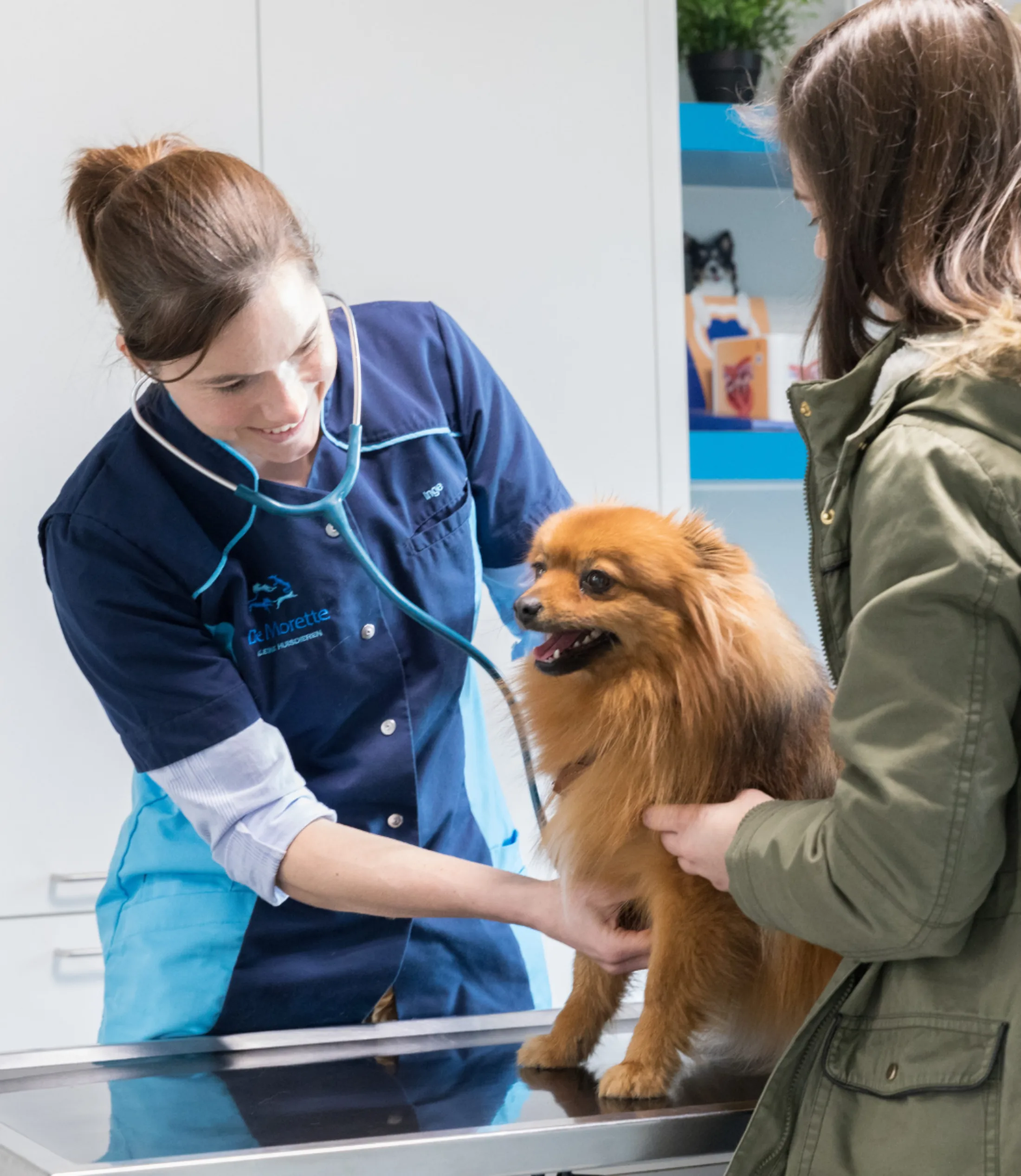 Algemene controle hond Blob1