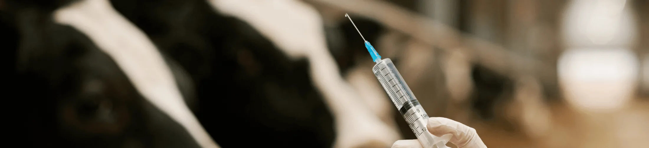 FAQ Vaccinaties
