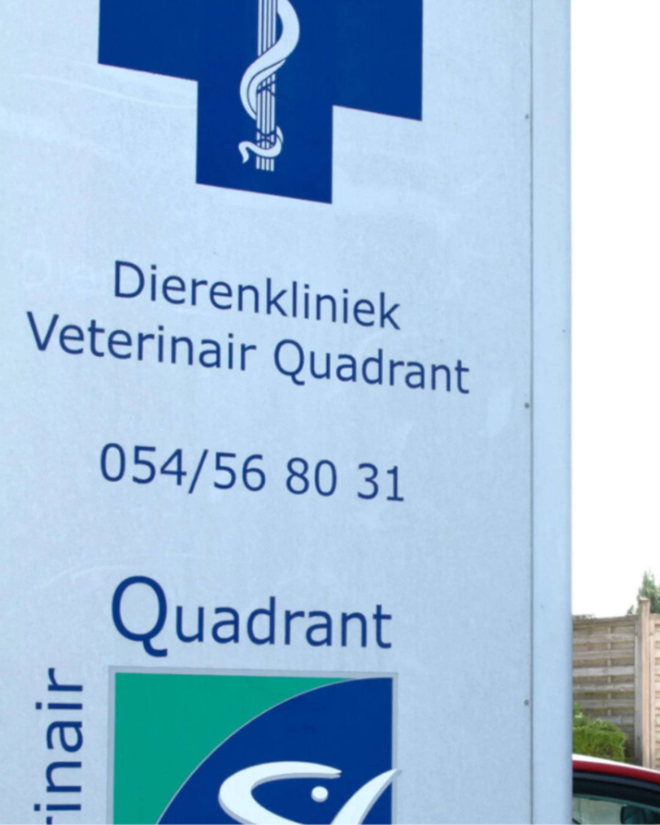 Quadrant herfelingen 1