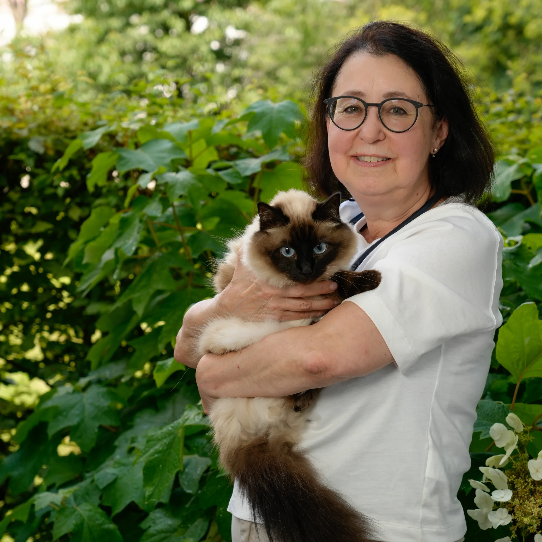 2024 07 10 Dr Kollofrath 2052