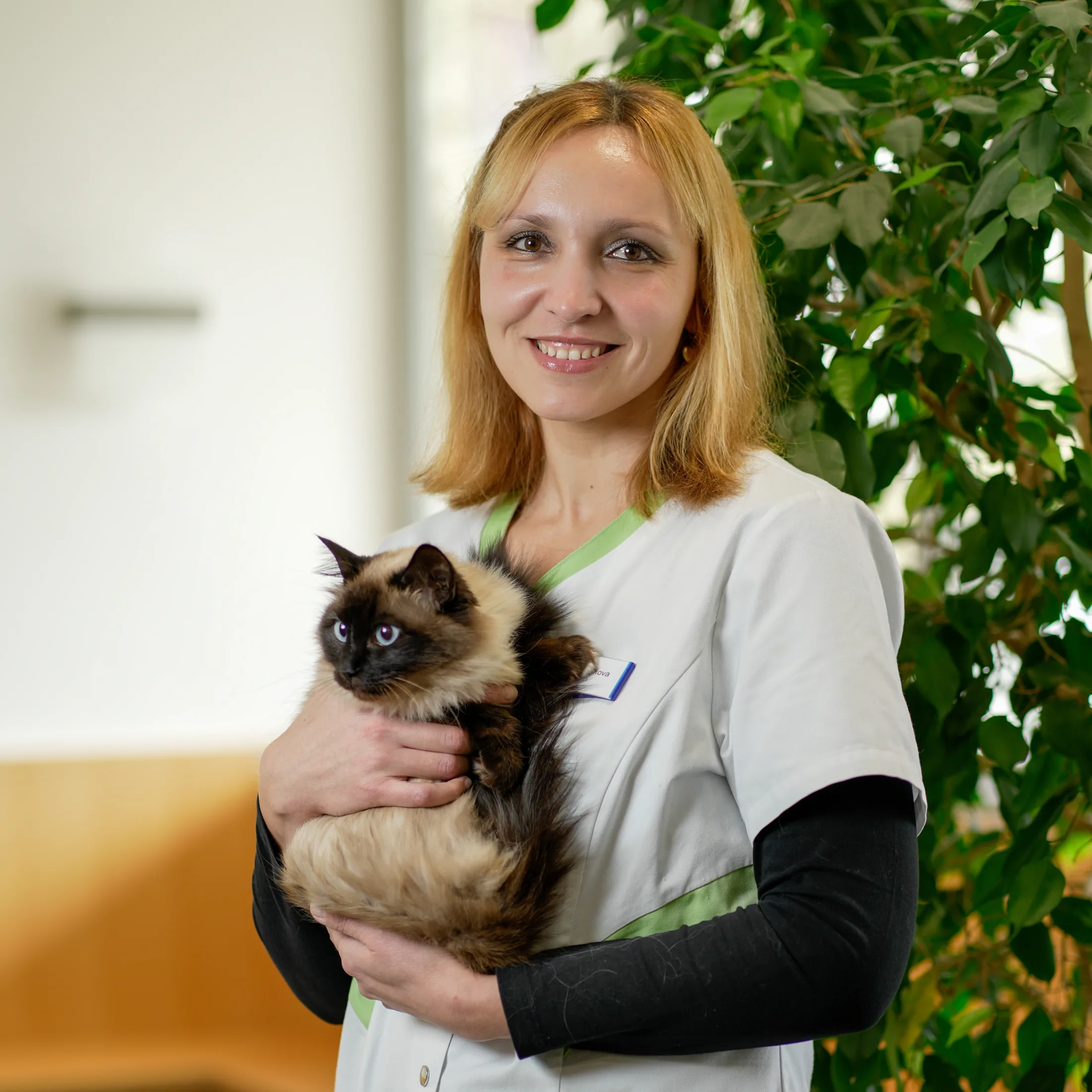 2026 03 17 Kollofrath 1150