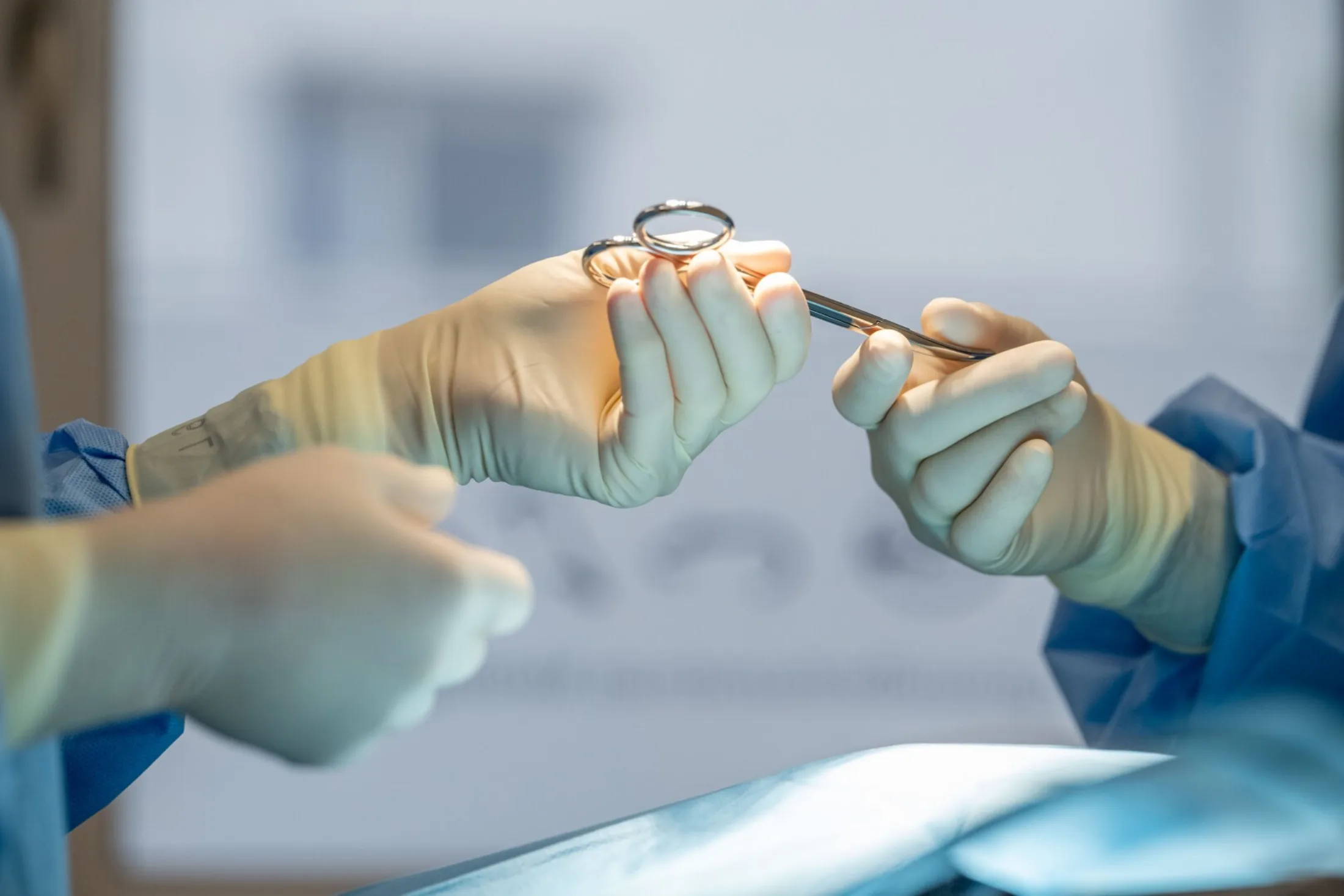 Kleintierpraxis Gronau 8