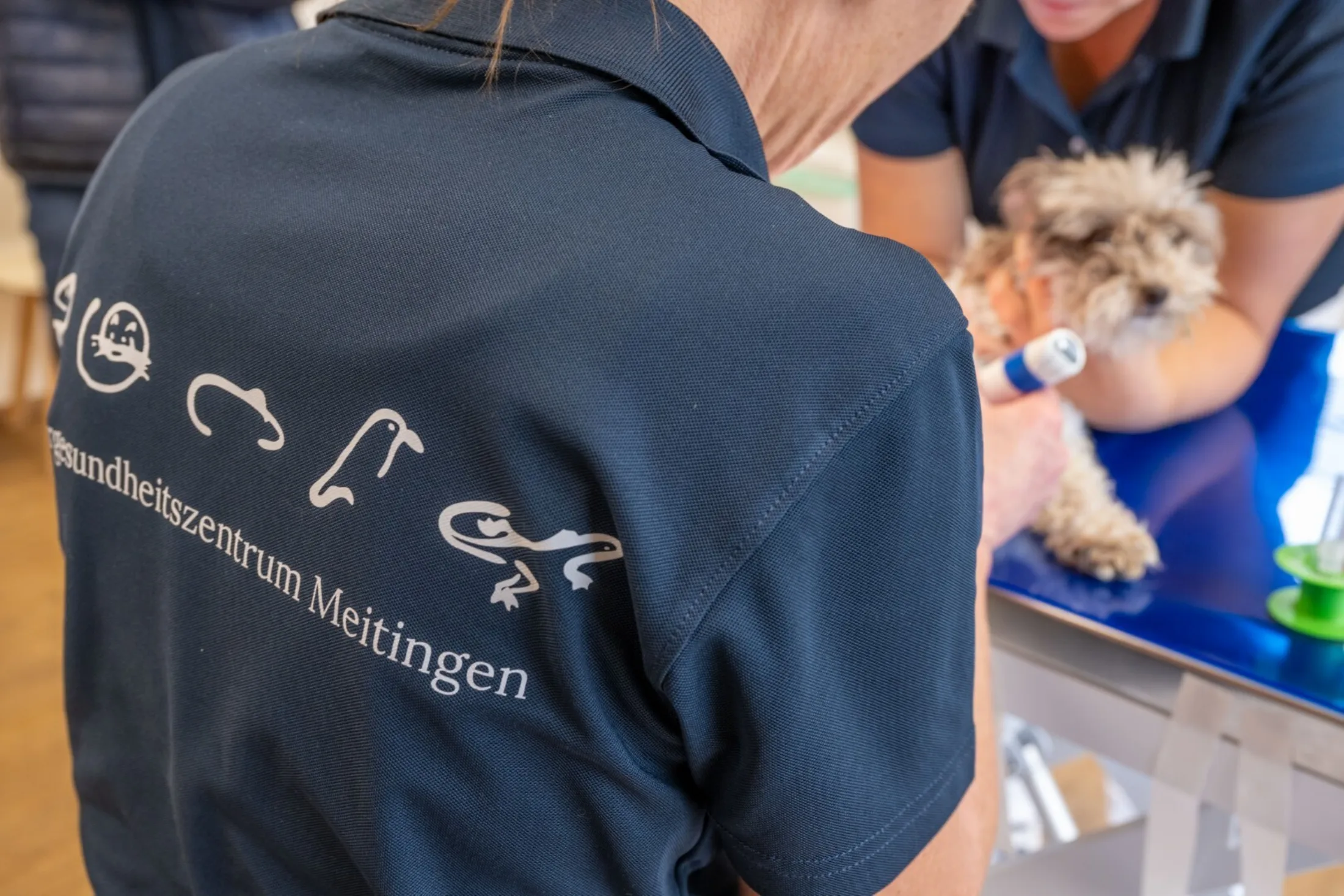 Einblicke Praxis Meitingen 5