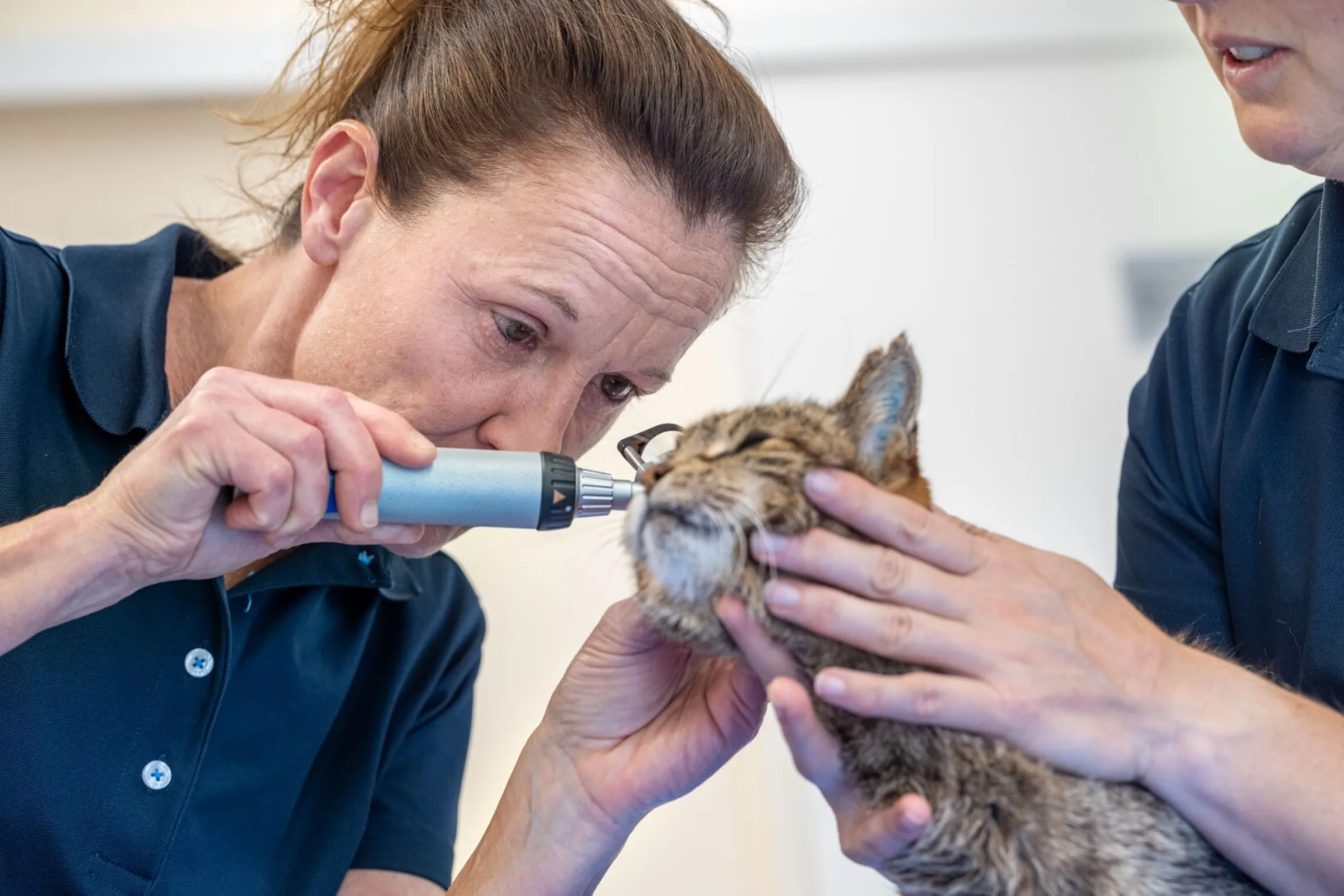 Einblicke Praxis Meitingen 7