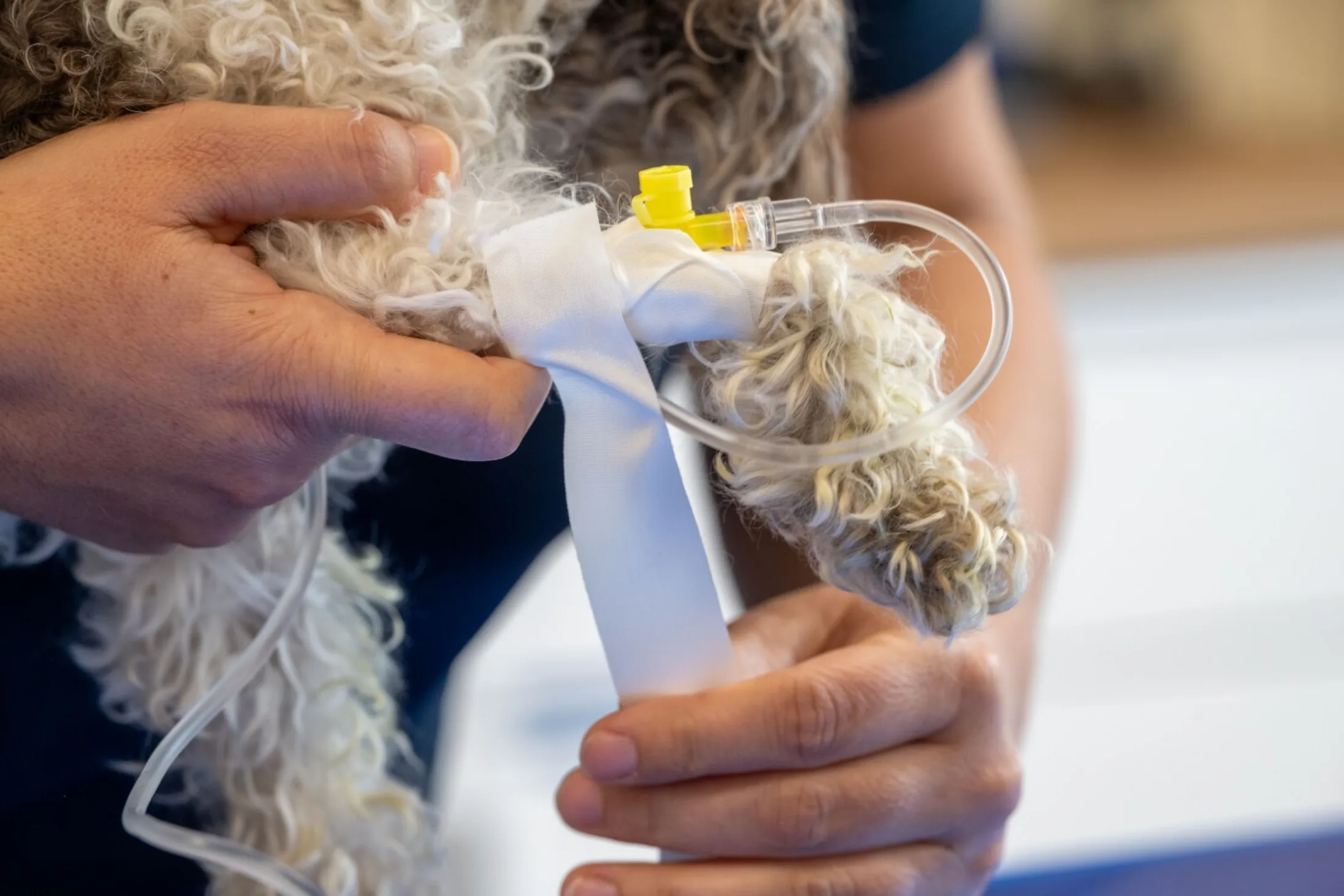 Einblicke Praxis Meitingen 8