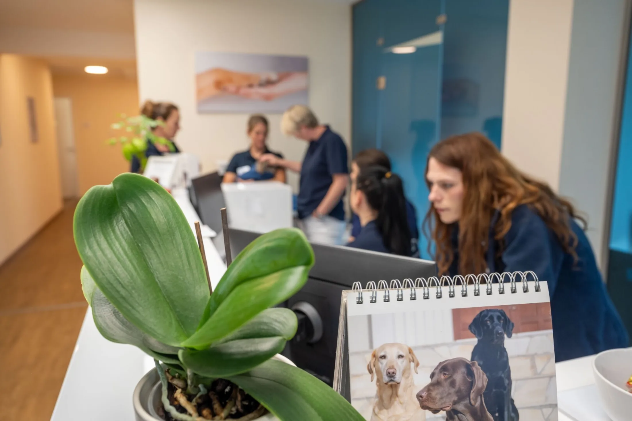 Einblicke Praxis Meitingen 14