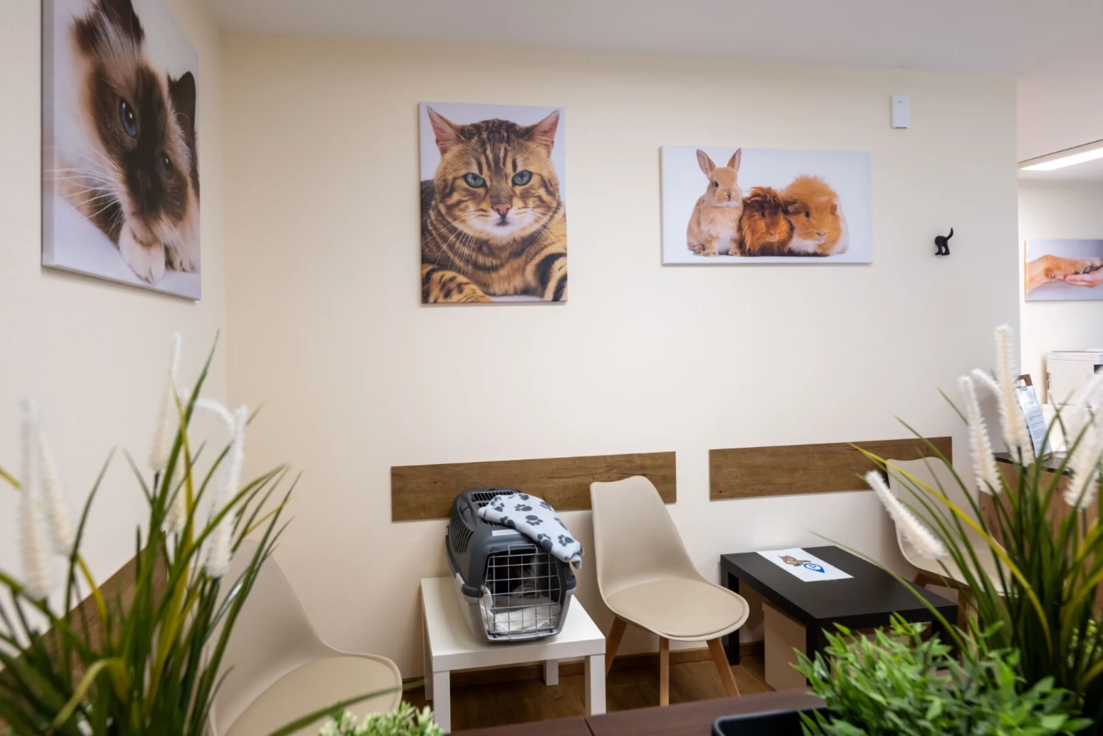 Einblicke Praxis Meitingen 20