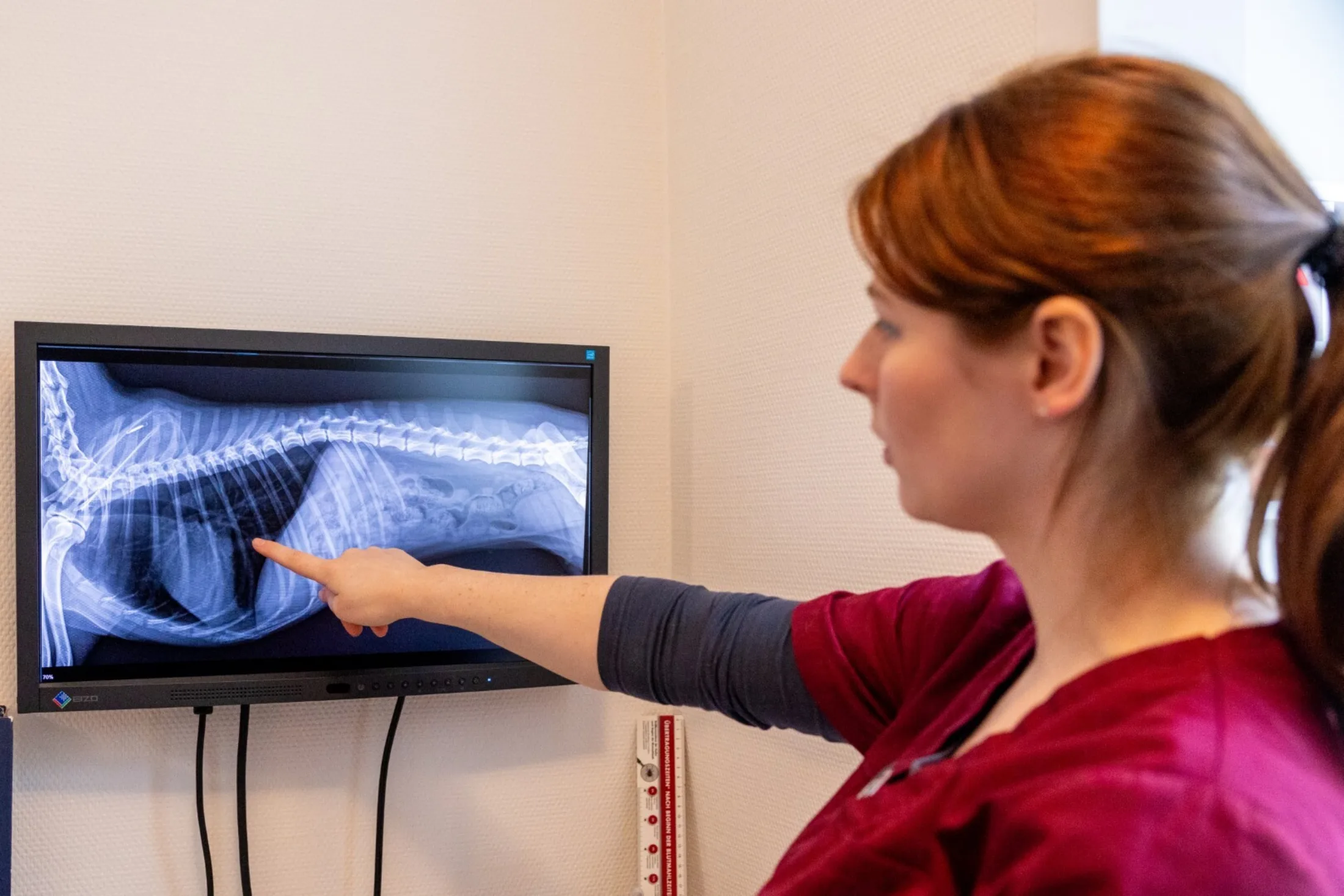 20260322 Veternicum Rotenburg 189