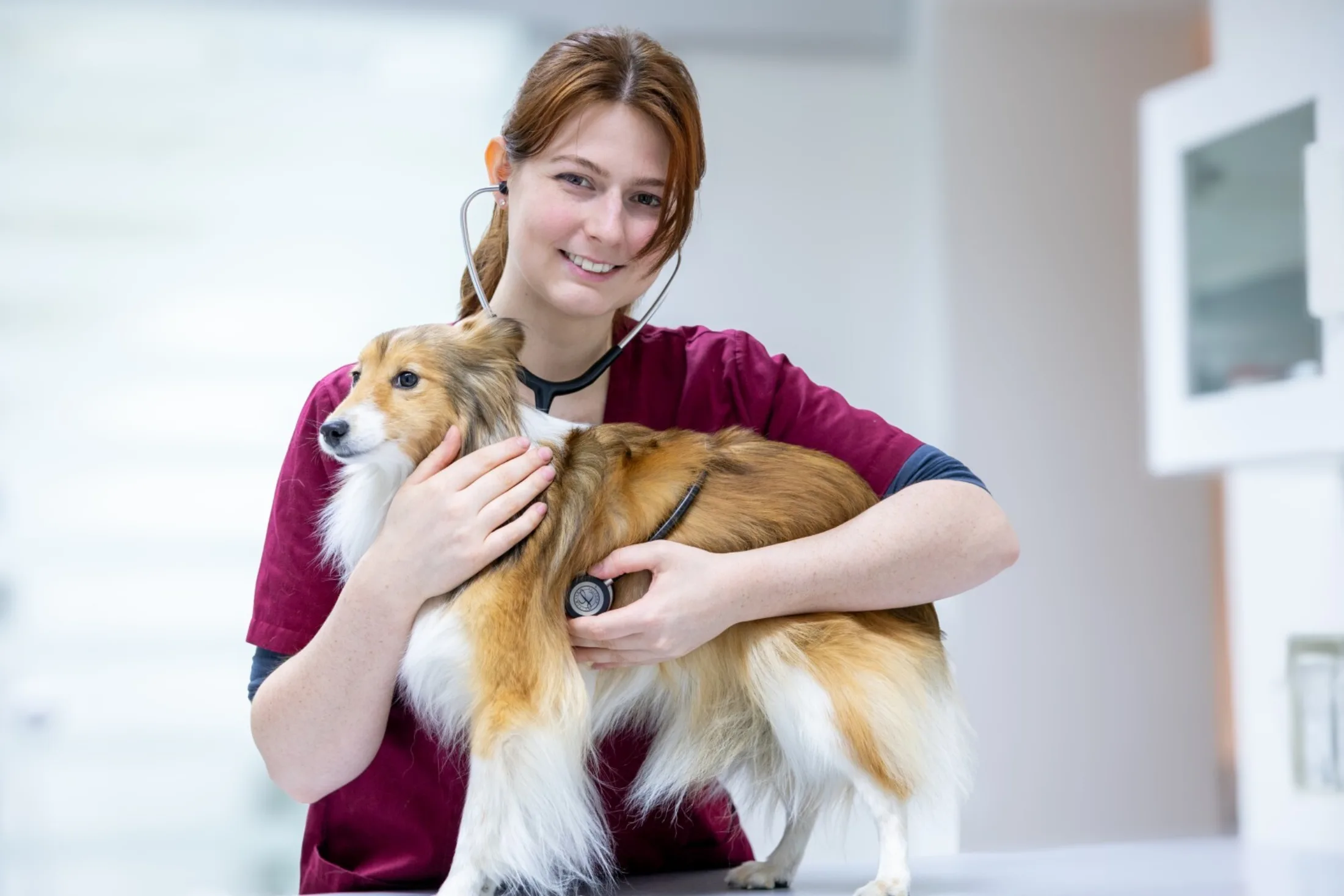 20260322 Veternicum Rotenburg 79