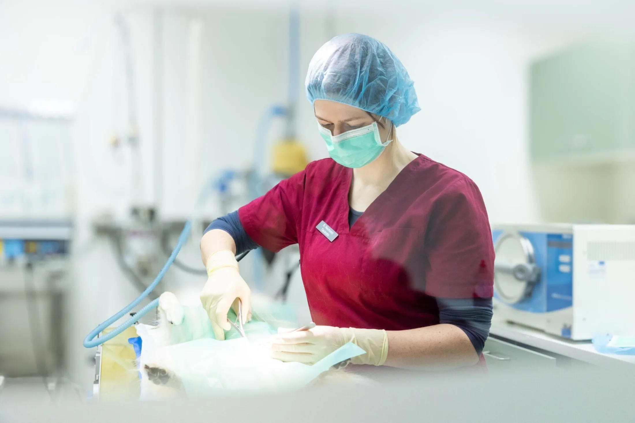 20260322 Veternicum Rotenburg 180