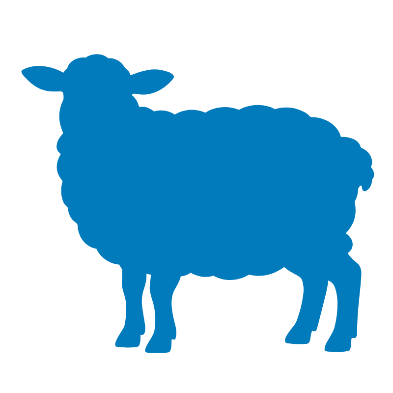 Schaap