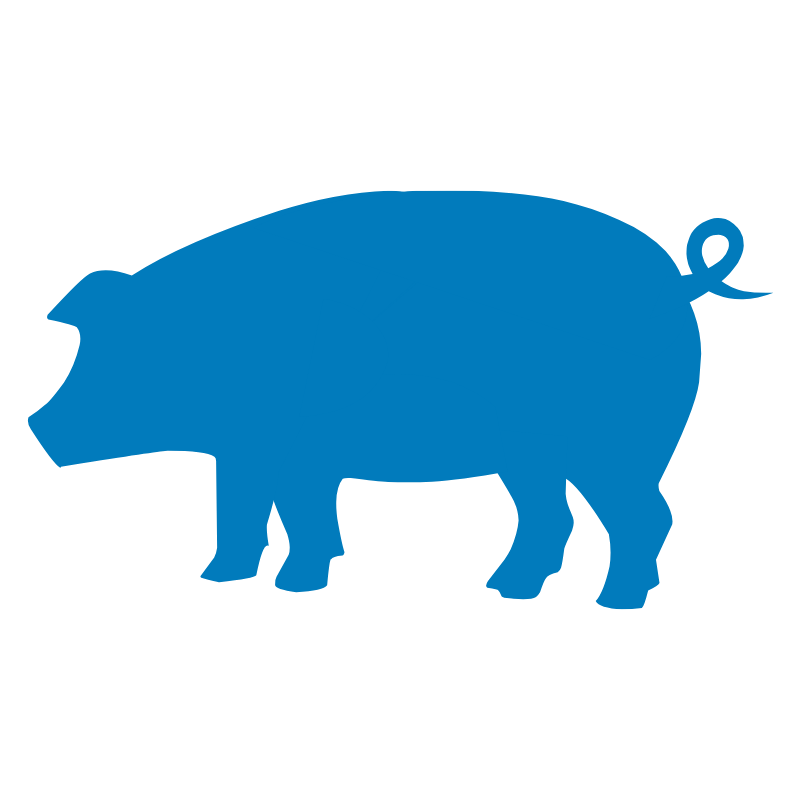 Varken