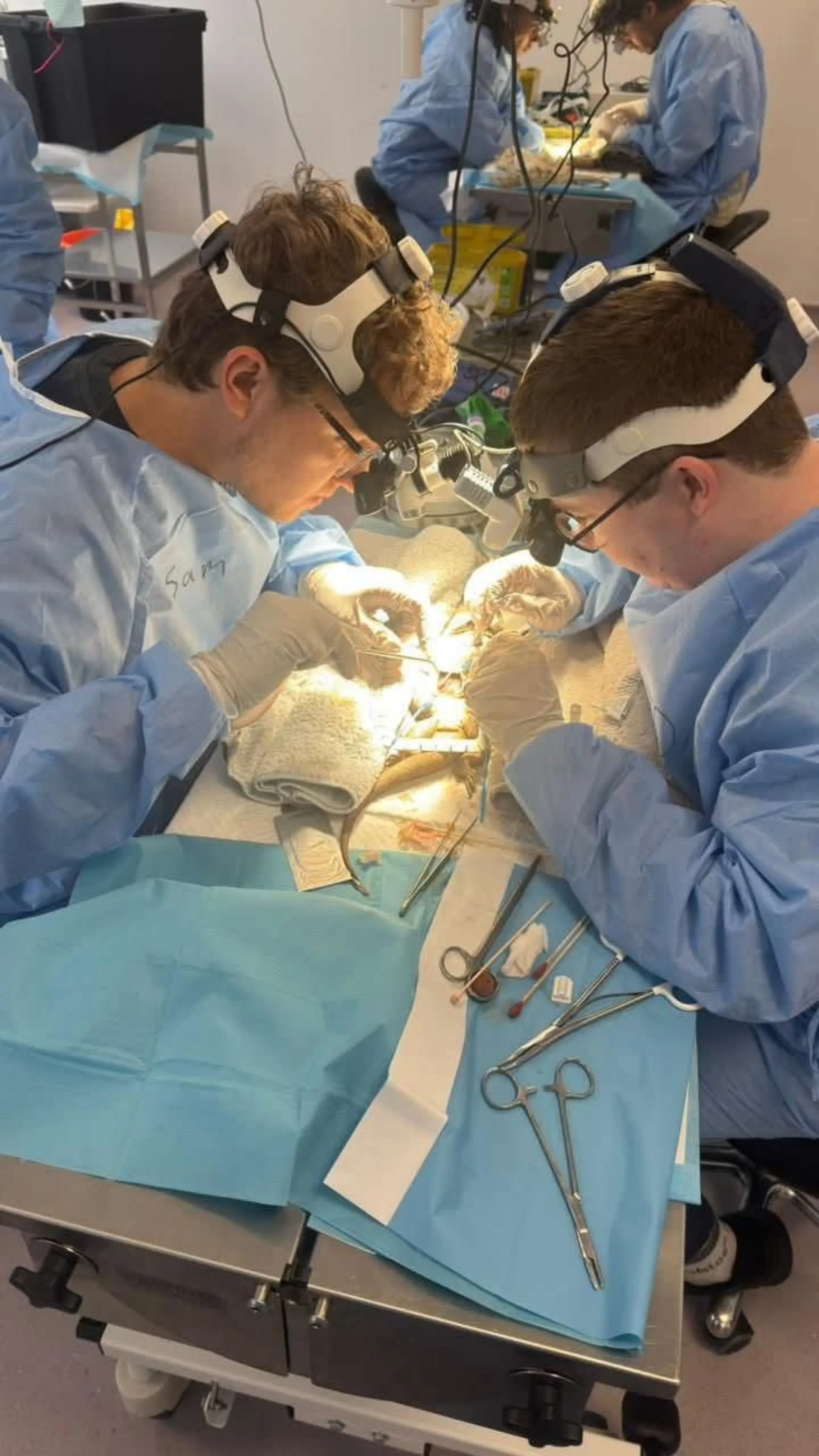DAC de4voeter chirurgie Sam 2